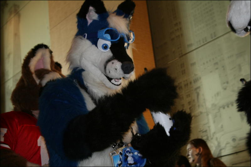 [StuntTiger_MFF2009_262.jpg]