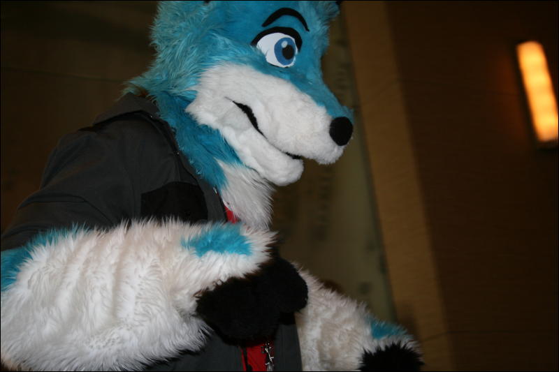 [StuntTiger_MFF2009_263.jpg]