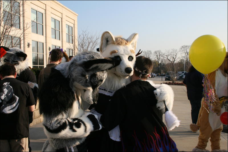 [StuntTiger_MFF2009_274.jpg]