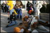 [StuntTiger MFF2009 275]