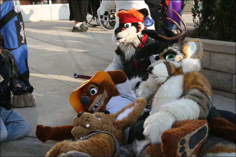 [StuntTiger_MFF2009_276.jpg]