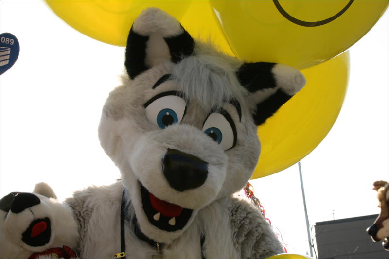 [StuntTiger_MFF2009_278.jpg]