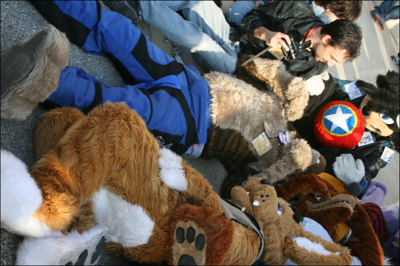 [StuntTiger_MFF2009_280.jpg]