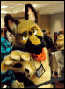 [Abrahm MFF2010 0391]