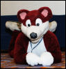 [Abrahm MFF2010 0438]