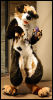 [Abrahm MFF2010 0505]