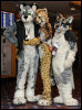 [Abrahm MFF2010 0719]