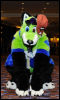 [Abrahm MFF2010 0738]