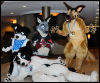 [Abrahm MFF2010 0744]