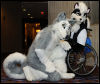 [Abrahm MFF2010 0764]