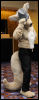 [Abrahm MFF2010 0829]