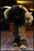 [Abrahm MFF2010 0882]