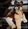 [Abrahm MFF2010 0990]