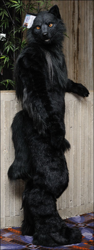 [Abrahm_MFF2010_1163.jpg]