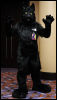 [Abrahm MFF2010 1485]