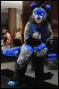 [Abrahm MFF2010 1656]