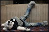 [Abrahm MFF2010 1664]