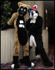 [Abrahm MFF2010 1670]