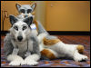 [Abrahm MFF2010 1715]