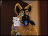 [Kofu MFF2010 086]