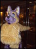 [Kofu MFF2010 094]