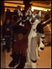 [Kofu MFF2010 097]