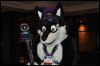 [SeanC MFF2010 011]