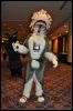 [SeanC MFF2010 019]