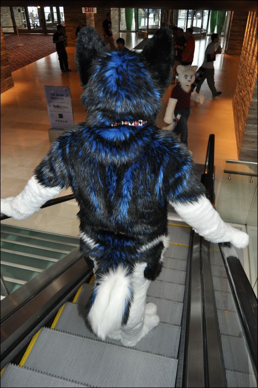 [SeanC_MFF2011_178.jpg]