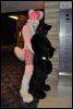 [SeanC MFF2011 261]