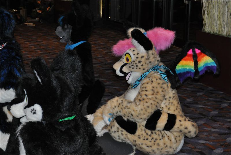 [SeanC_MFF2011_285.jpg]