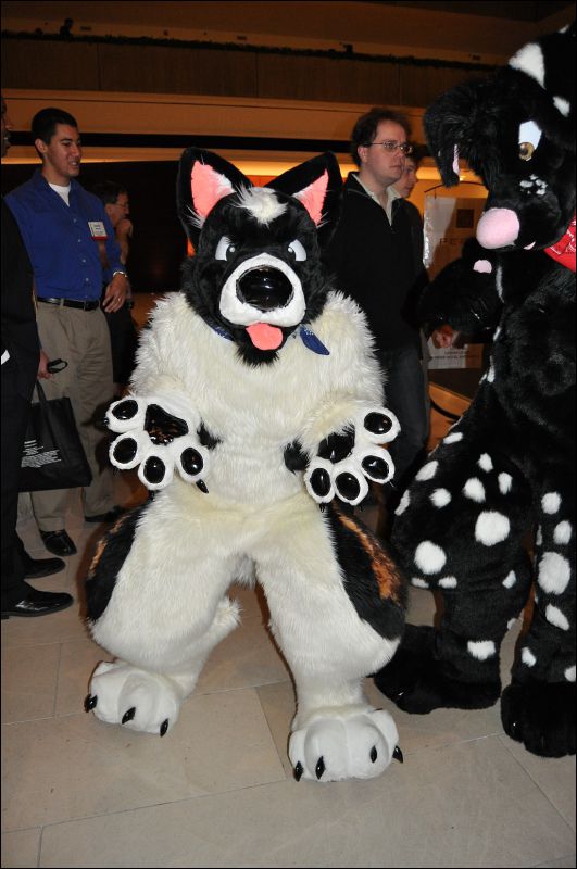 [SeanC_MFF2011_373.jpg]