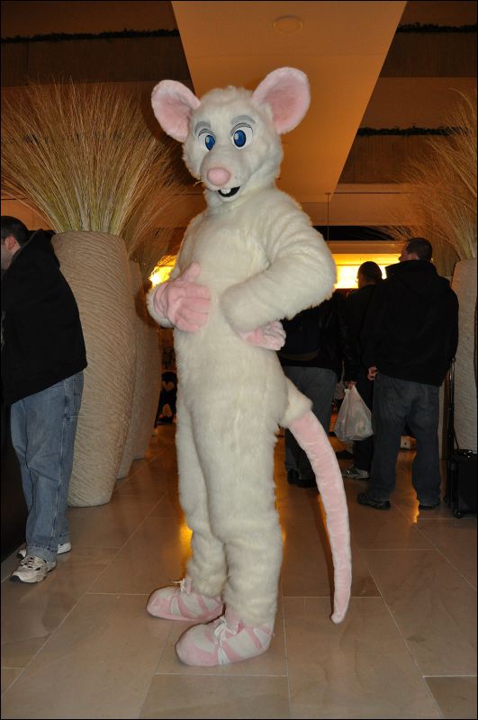 [SeanC_MFF2011_380.jpg]