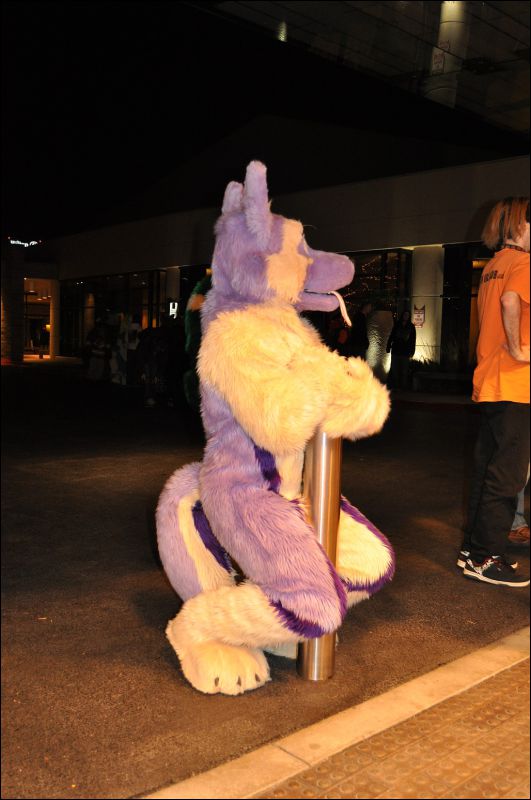 [SeanC_MFF2011_388.jpg]