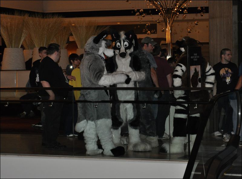 [SeanC_MFF2011_400.jpg]