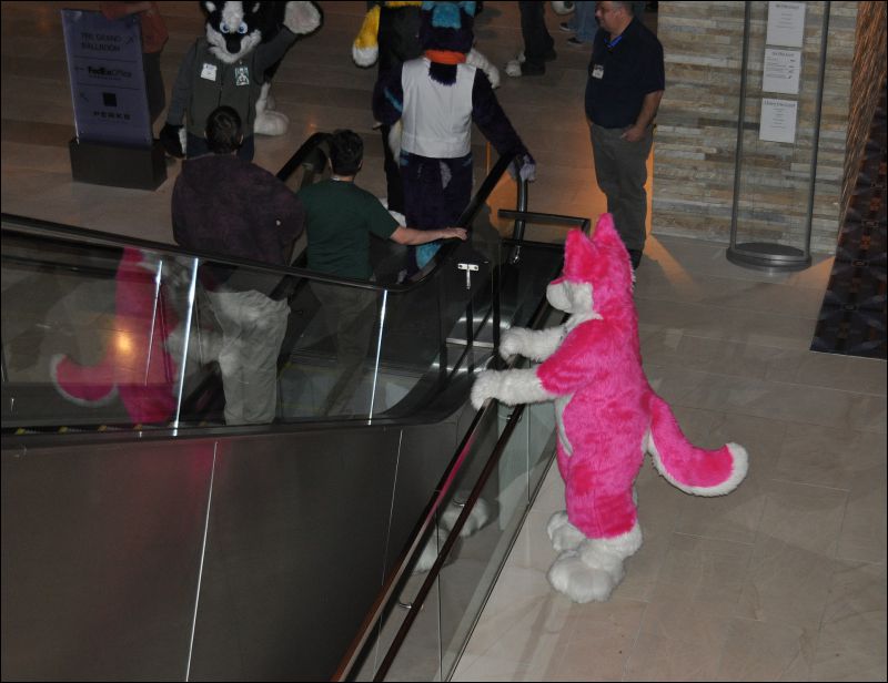 [SeanC_MFF2011_408.jpg]