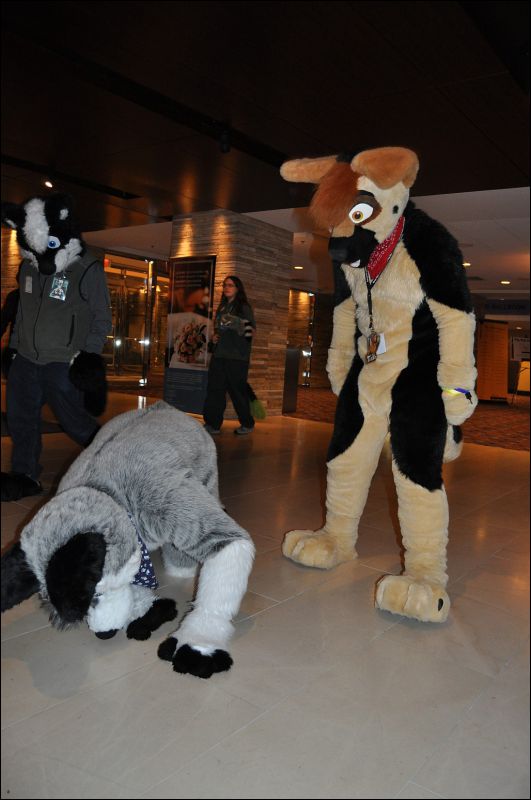 [SeanC_MFF2011_411.jpg]