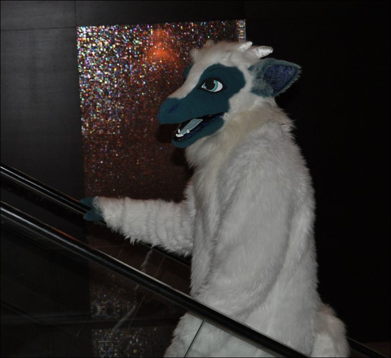 [SeanC_MFF2011_432.jpg]