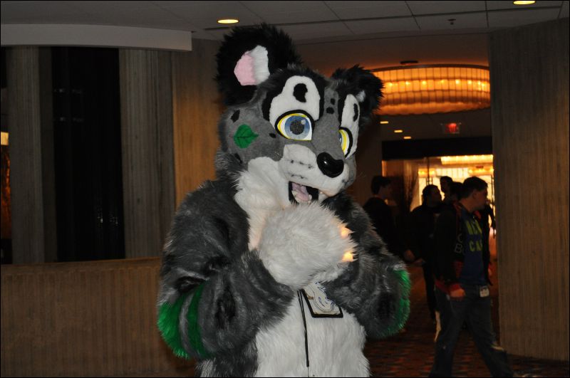 [SeanC_MFF2011_472.jpg]