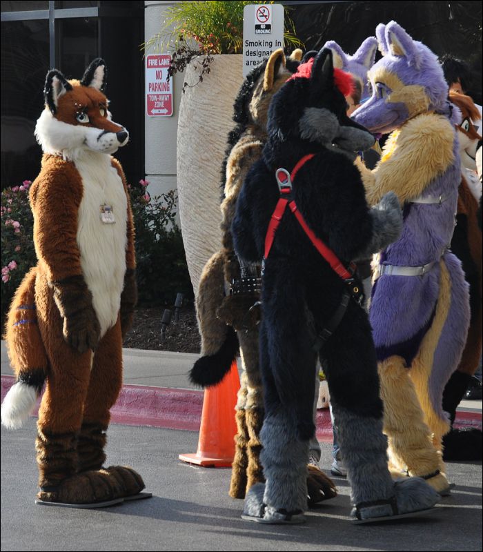 [SeanC_MFF2011_513.jpg]