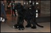 [SeanC MFF2011 577]