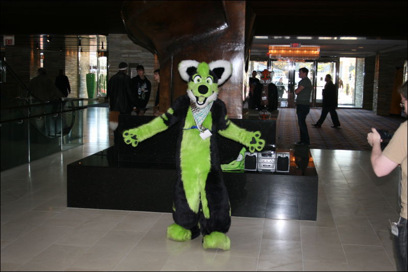 [StuntTiger_MFF2011_001.jpg]