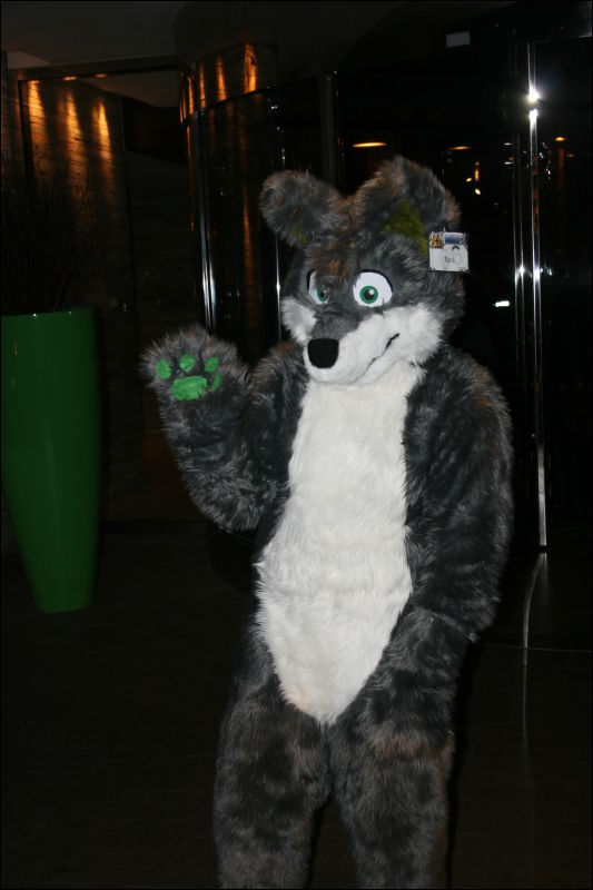 [StuntTiger_MFF2011_007.jpg]