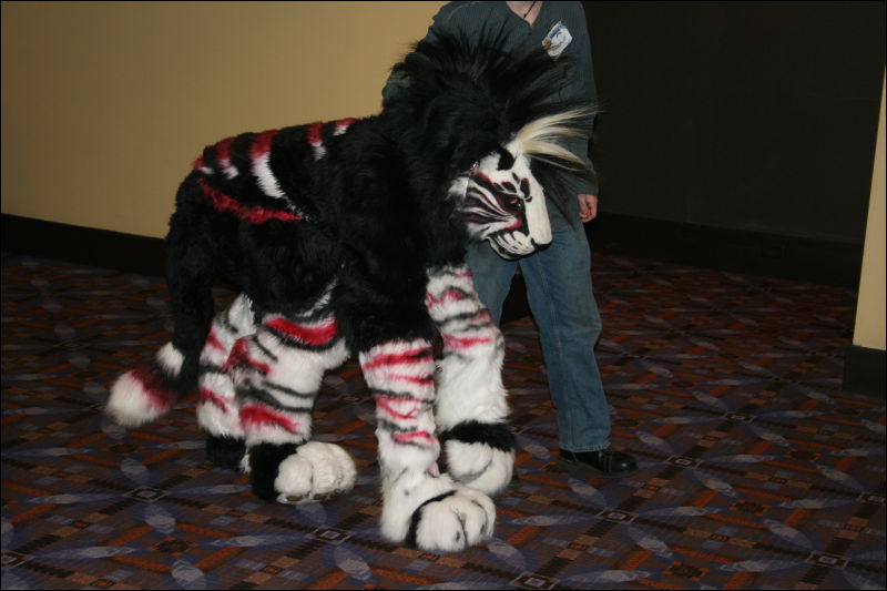 [StuntTiger_MFF2011_008.jpg]