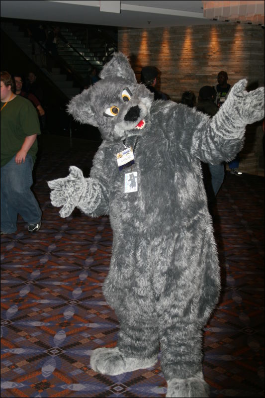 [StuntTiger_MFF2011_009.jpg]