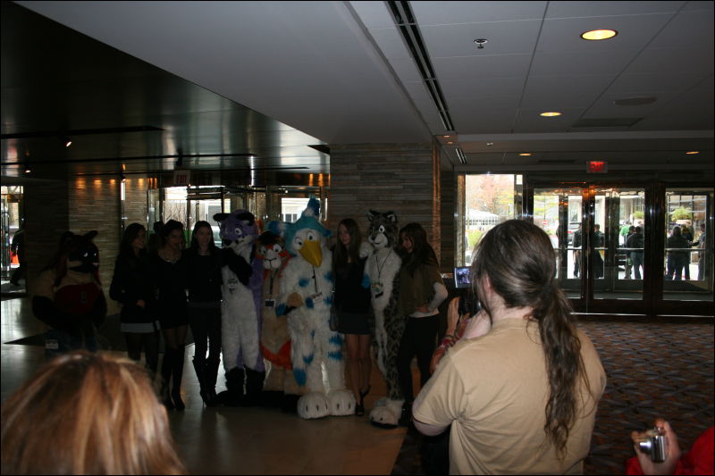 [StuntTiger_MFF2011_019.jpg]