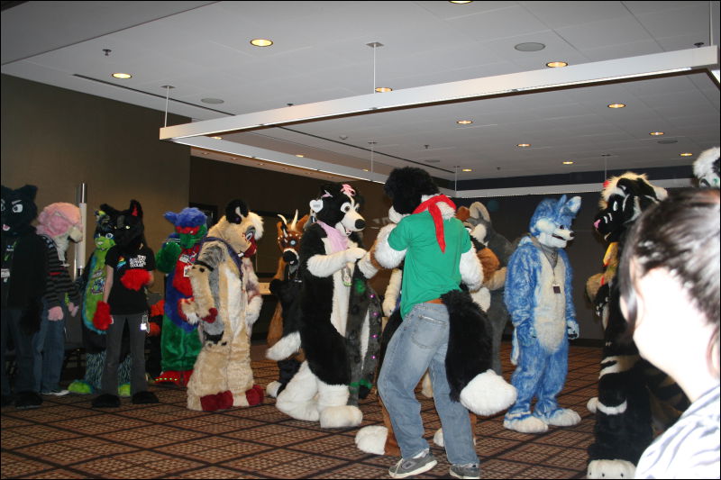 [StuntTiger_MFF2011_025.jpg]