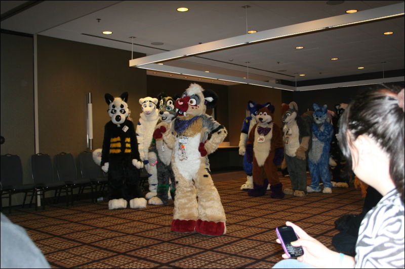 [StuntTiger_MFF2011_030.jpg]