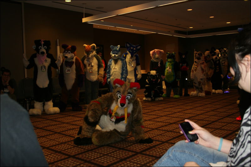 [StuntTiger_MFF2011_034.jpg]