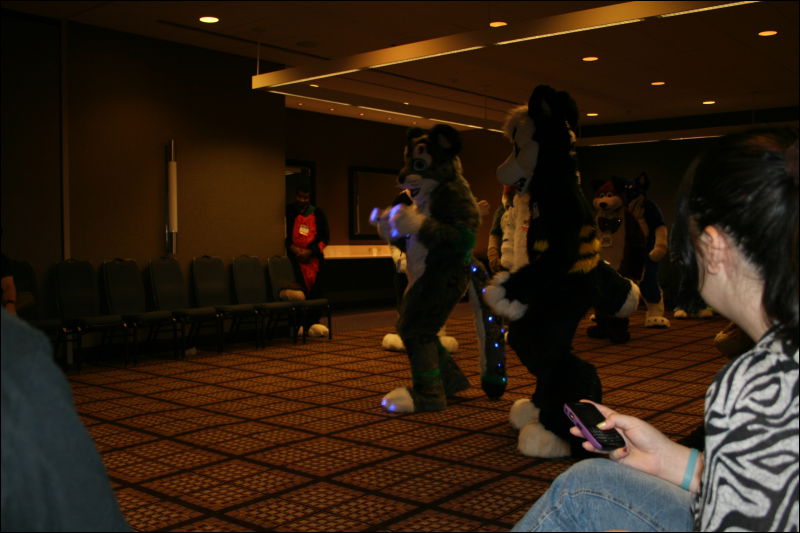 [StuntTiger_MFF2011_041.jpg]